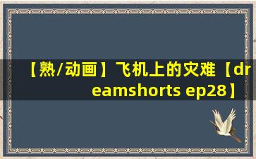 【熟/动画】飞机上的灾难【dreamshorts ep28】